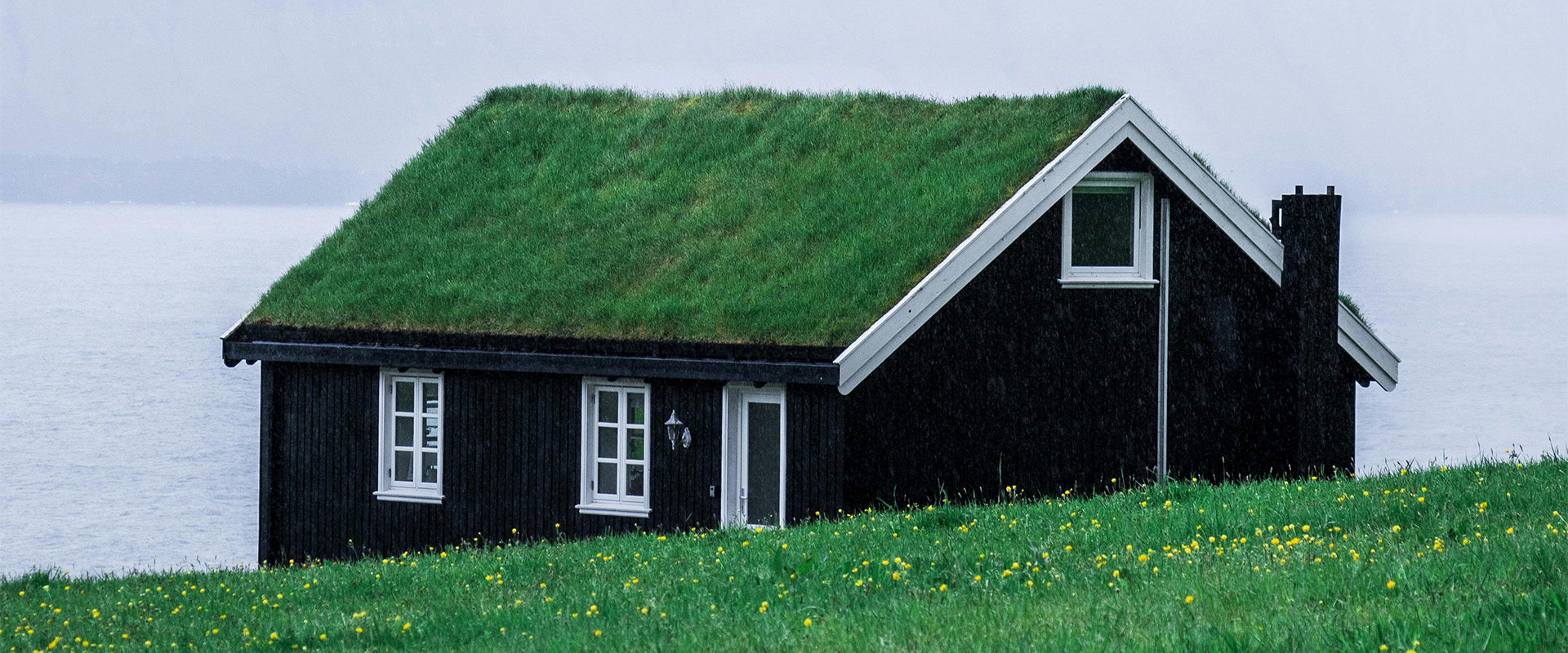 8 Ways Green Roofs Boost Your Home’s Biodiversity and Value