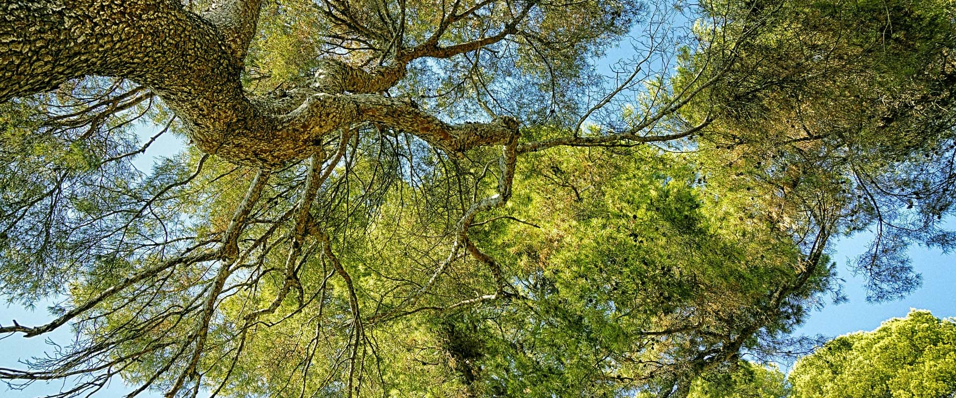 5 Sustainable Building Materials That Actually Work in 2025